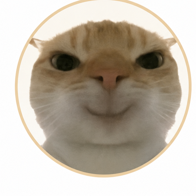 小猫